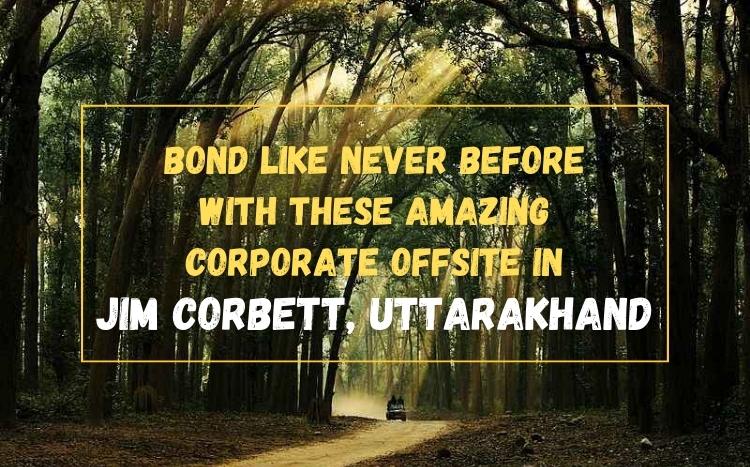 Bond Like Never Before With These Amazing Corporate Offsite In Jim Corbett